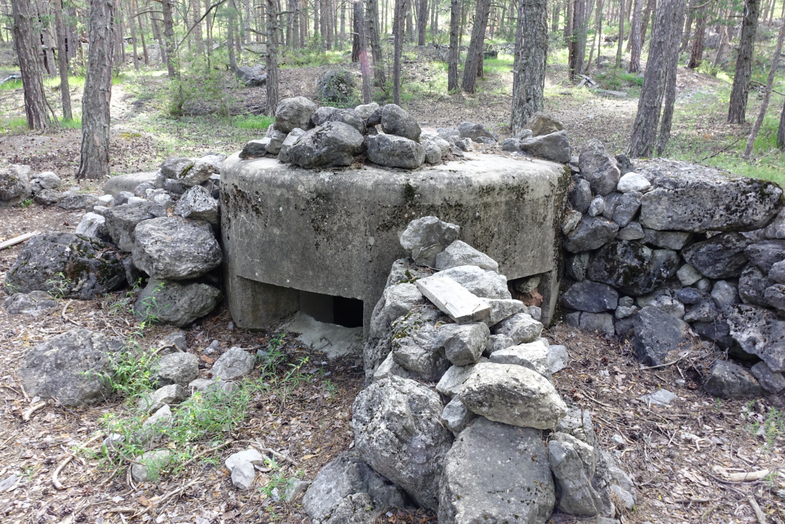 Ligne Maginot - LA VACHETTE OUEST 1 - (Blockhaus pour arme infanterie) -  - Lia VERMEULEN