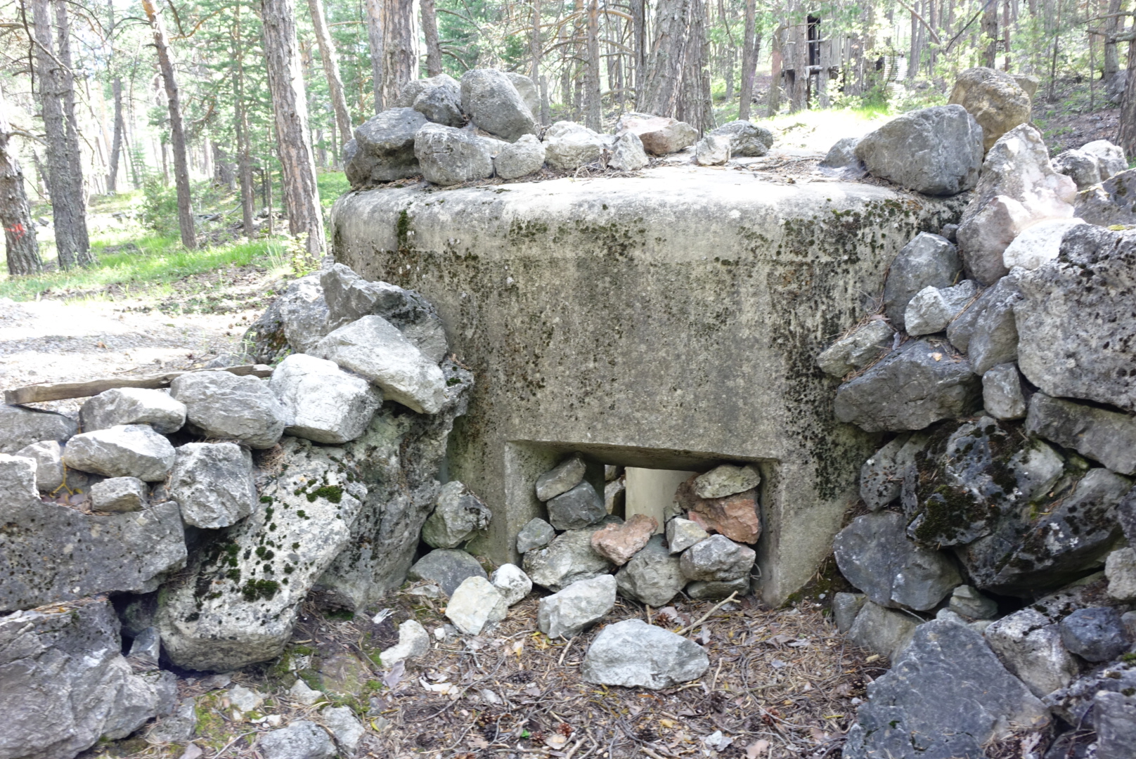Ligne Maginot - LA VACHETTE OUEST 1 - (Blockhaus pour arme infanterie) -  - Lia VERMEULEN