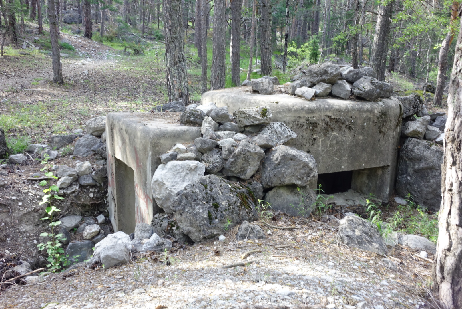 Ligne Maginot - LA VACHETTE OUEST 1 - (Blockhaus pour arme infanterie) -  - Lia VERMEULEN