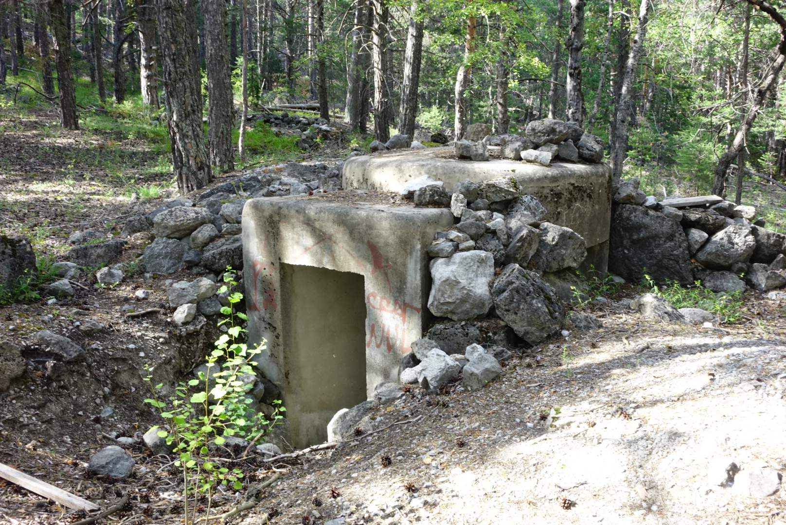 Ligne Maginot - LA VACHETTE OUEST 1 - (Blockhaus pour arme infanterie) -  - Lia VERMEULEN