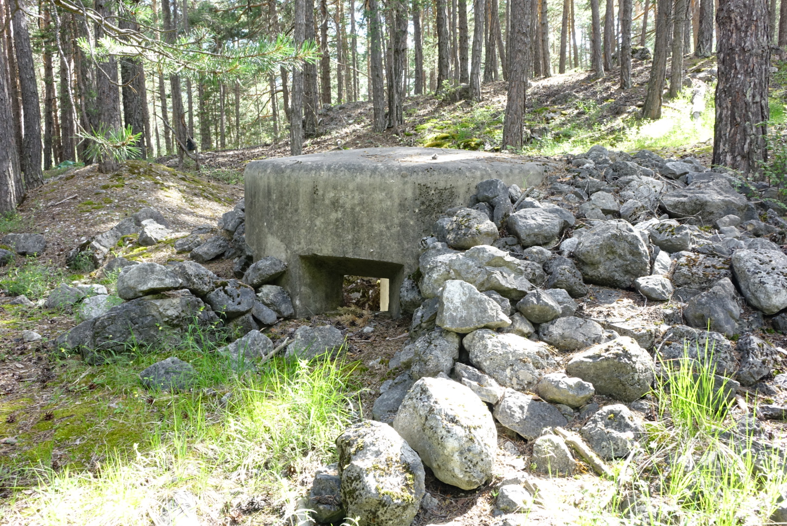 Ligne Maginot - LA VACHETTE OUEST 2 - (Blockhaus pour arme infanterie) -  - Lia VERMEULEN