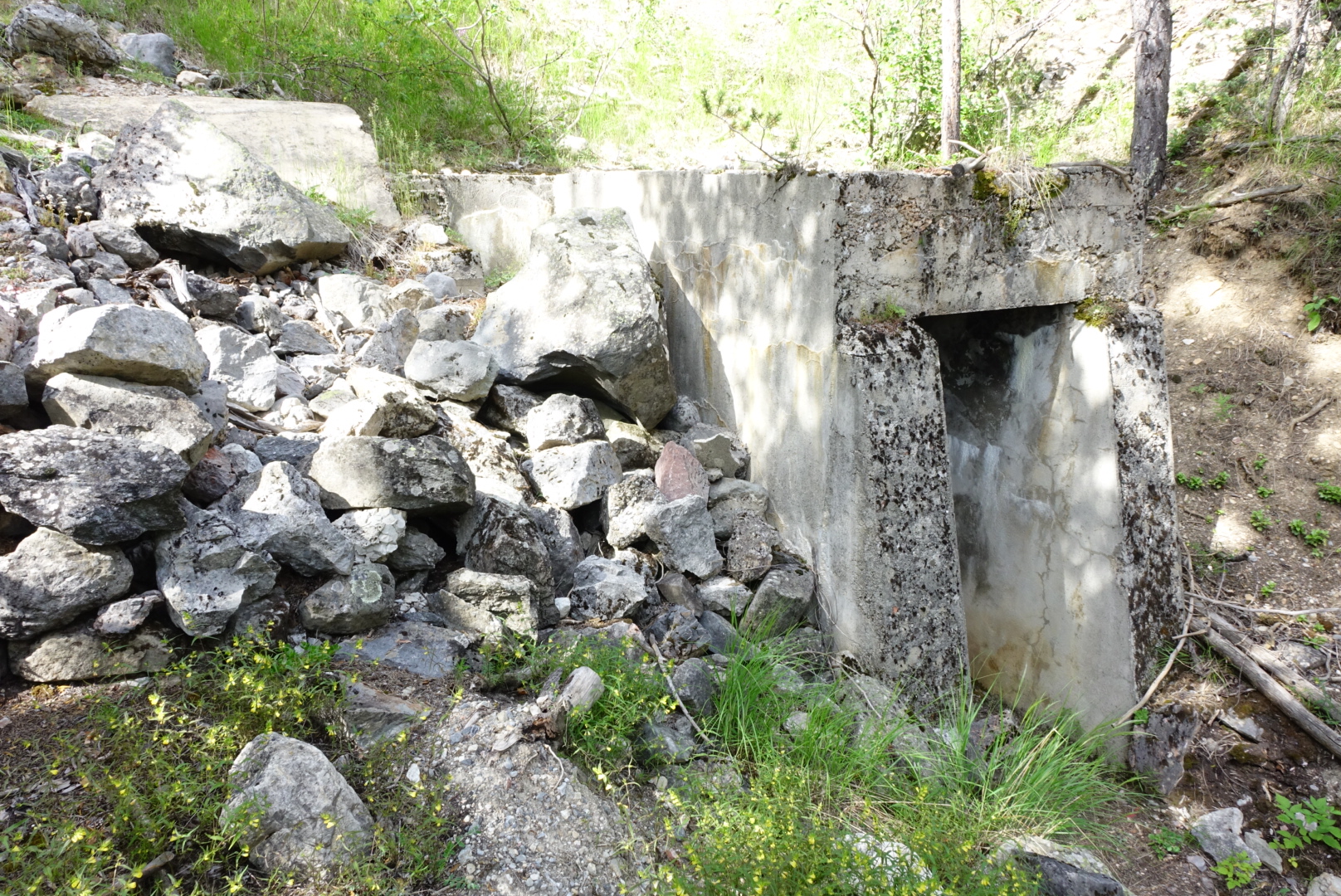 Ligne Maginot - LA VACHETTE OUEST - (Abri) - Entrée est - Lia VERMEULEN