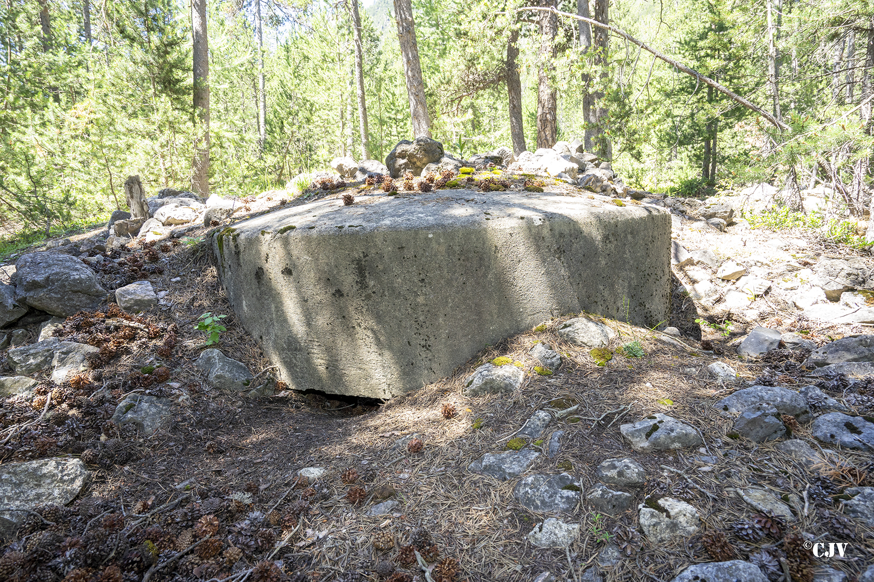 Ligne Maginot - LA PINATELLE 3 - (Blockhaus pour arme infanterie) -  - Lia VERMEULEN