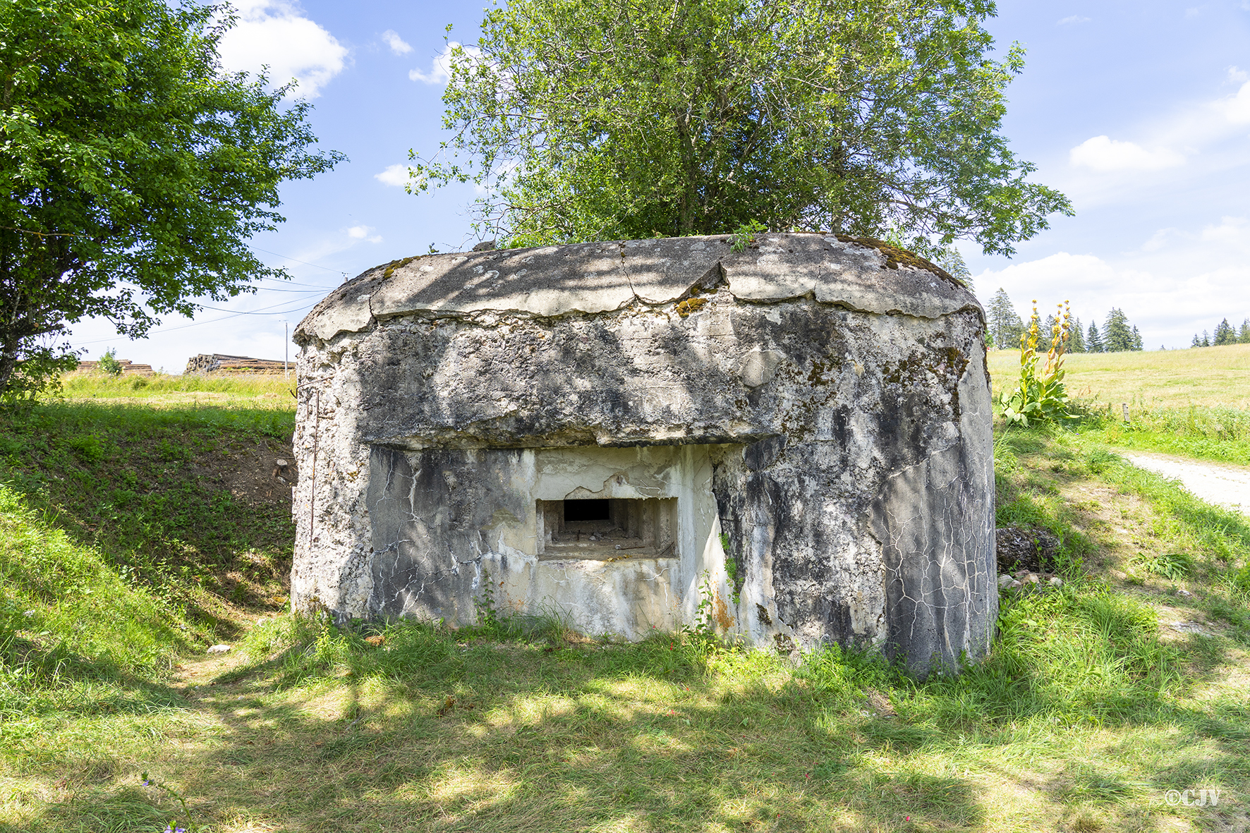 Ligne Maginot - B36 - ABBAYE 1 - (Blockhaus pour arme infanterie) -  - Lia VERMEULEN
