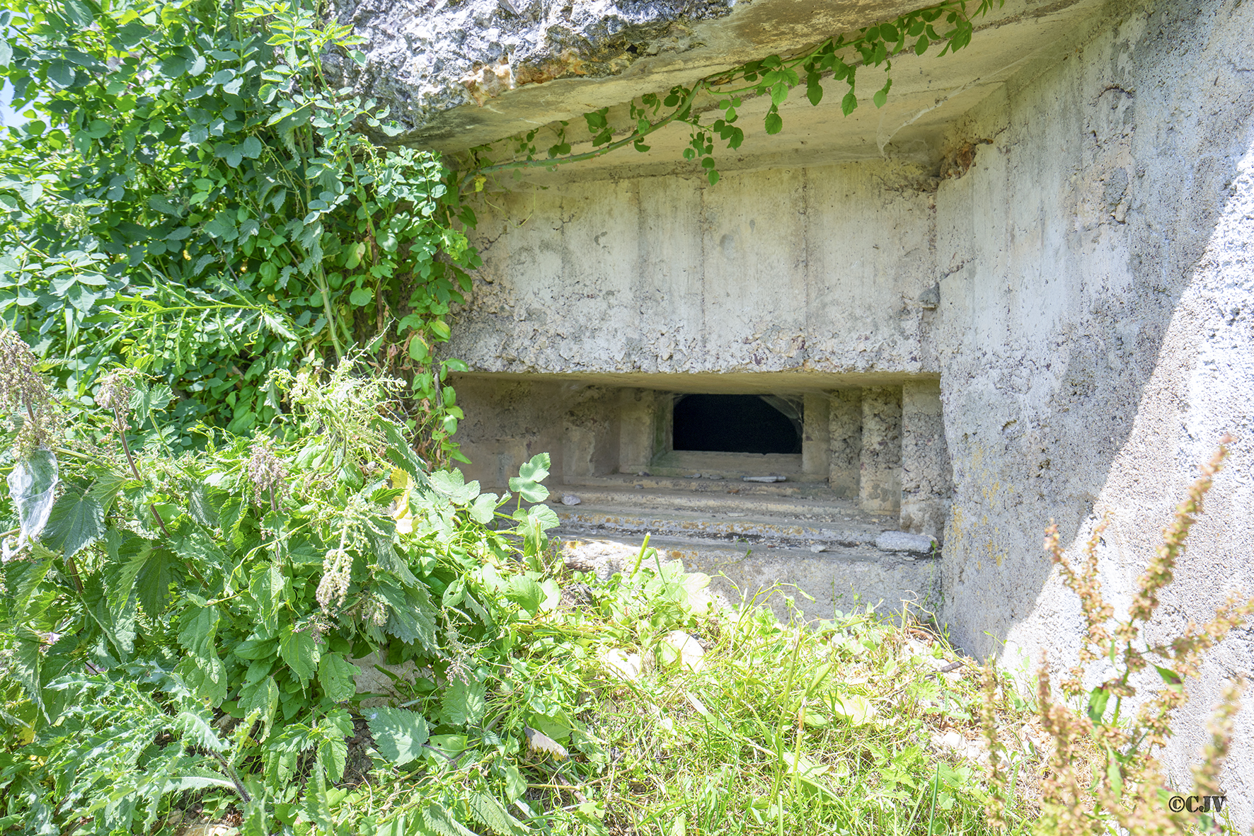 Ligne Maginot - B39 - REMORAY - (Blockhaus pour arme infanterie) -  - Lia VERMEULEN