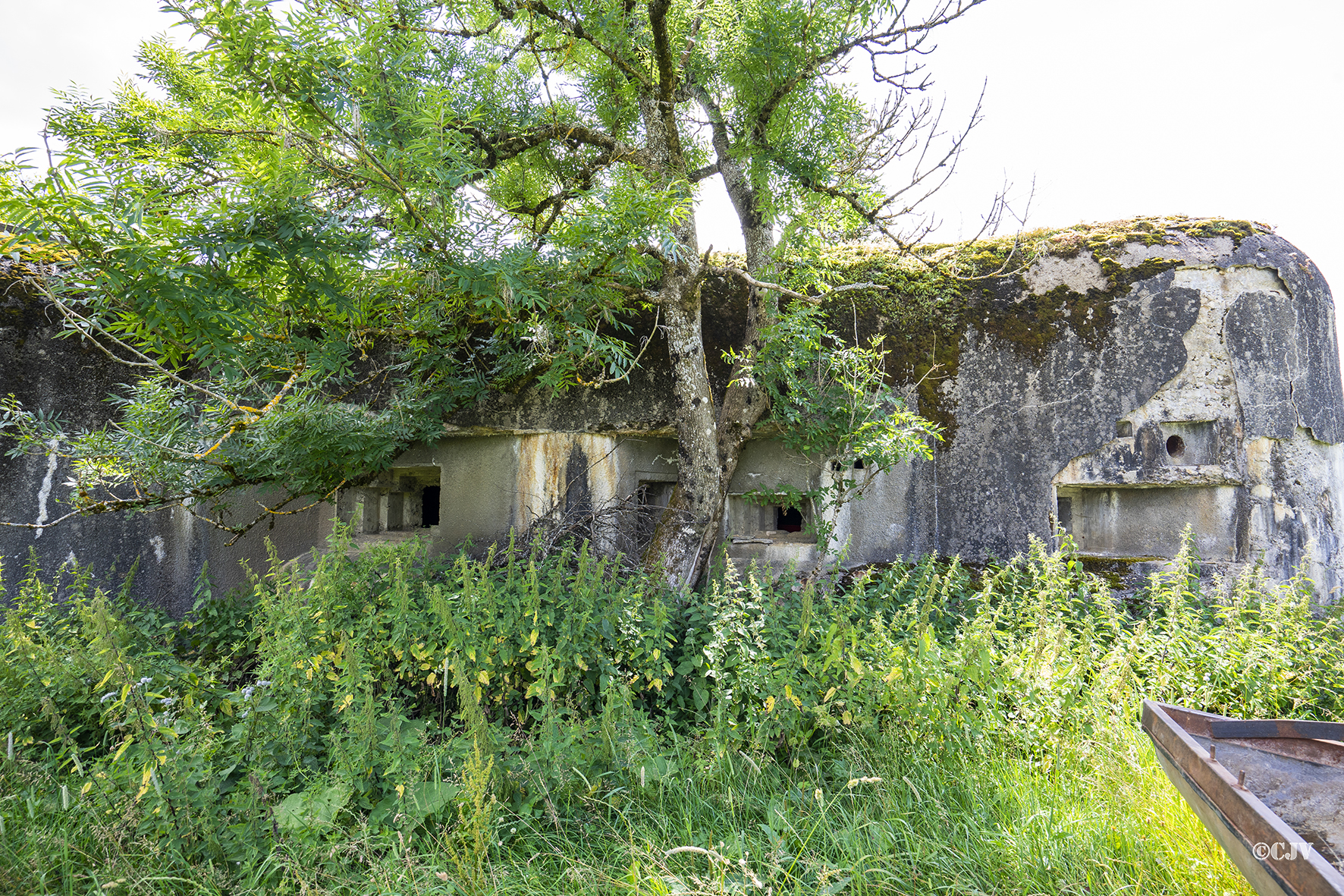 Ligne Maginot - B41 - FRANOIS - (Casemate d'infanterie - Double) -  - Lia VERMEULEN