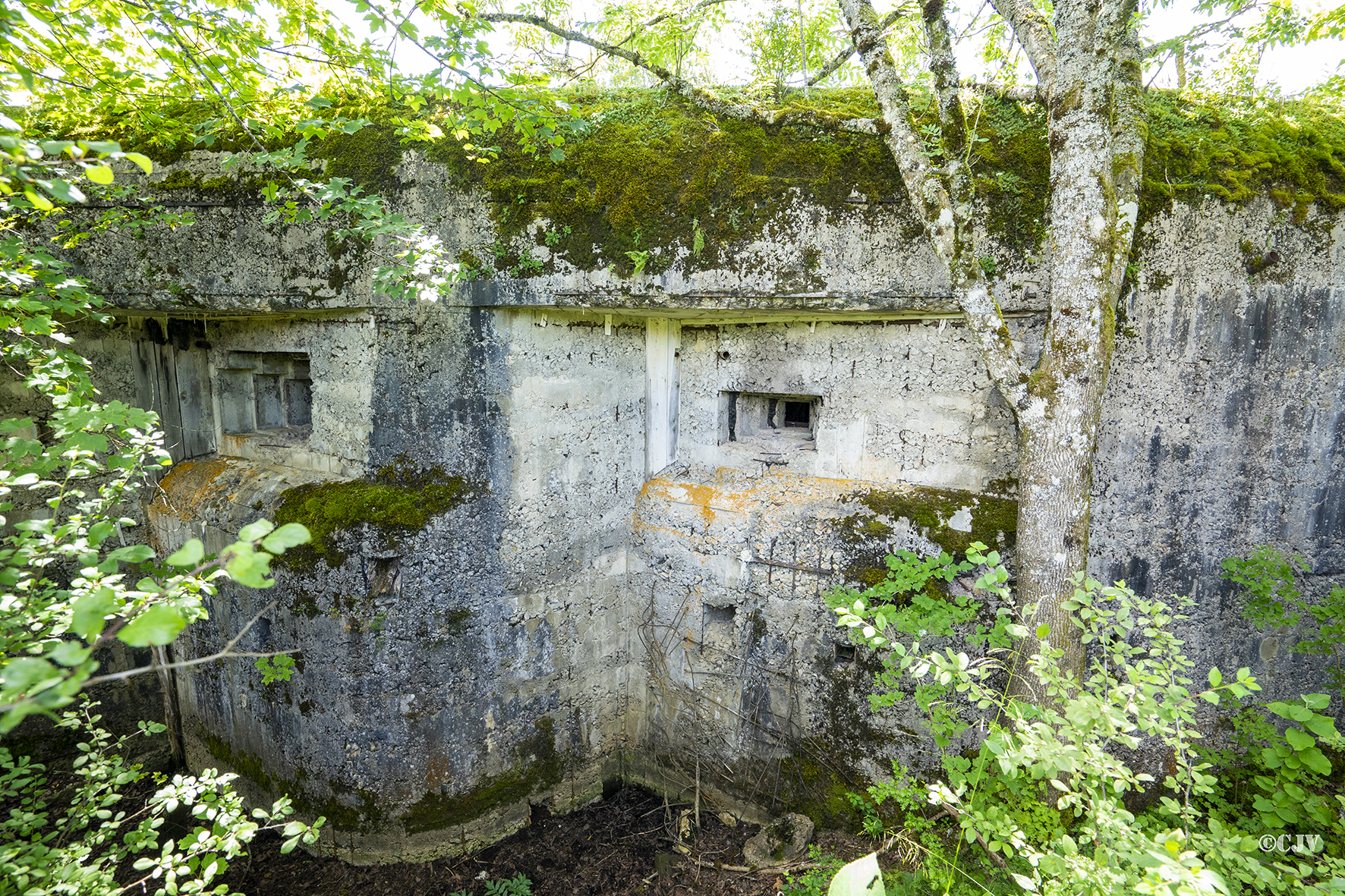 Ligne Maginot - B42 - REMORAY OUEST - (Casemate d'infanterie - Double) - Les créneaux de flanquement gauche - Lia Vermeulen