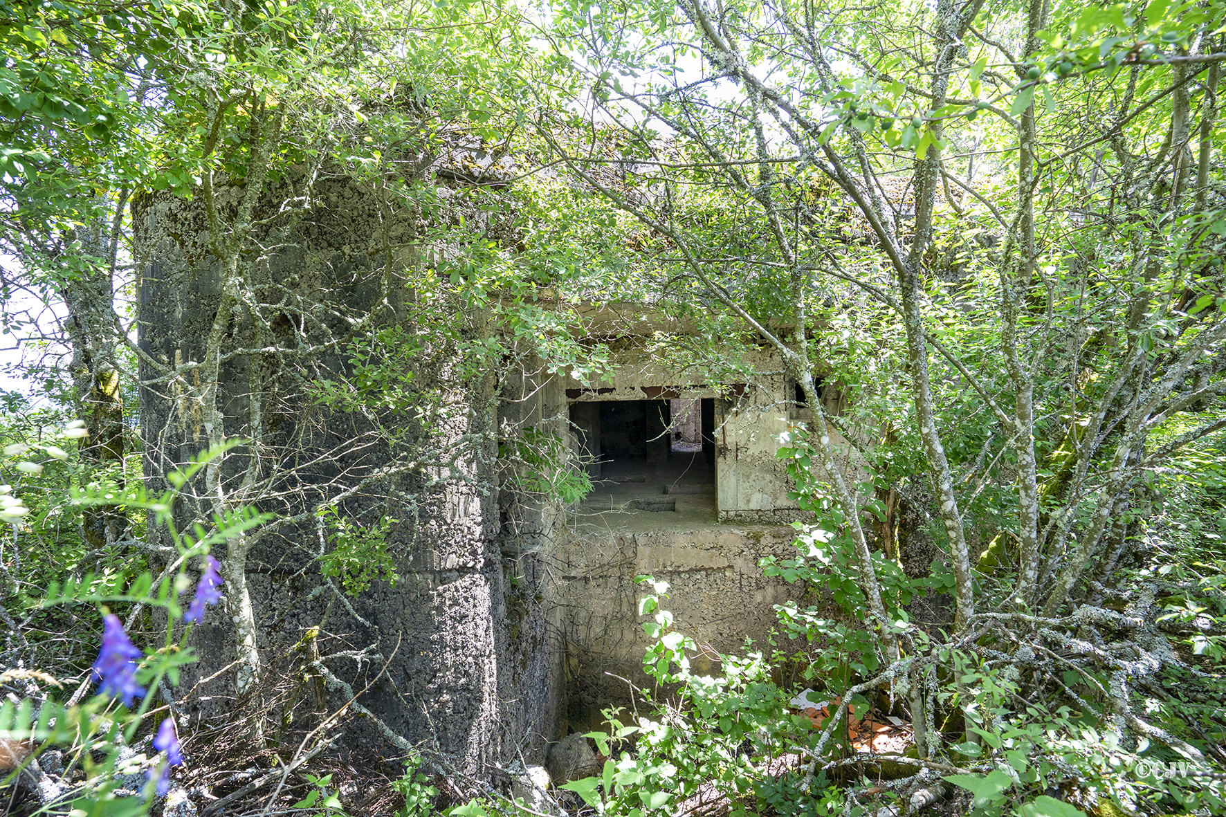 Ligne Maginot - B42 - REMORAY OUEST - (Casemate d'infanterie - Double) - L'entrée - Lia Vermeulen