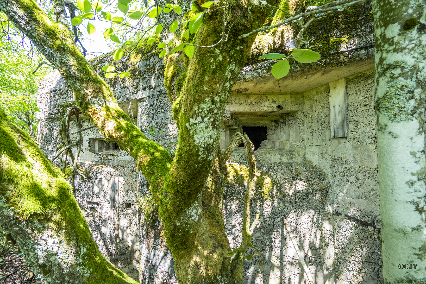 Ligne Maginot - B42 - REMORAY OUEST - (Casemate d'infanterie - Double) - Les créneaux de flanquement droite - Lia Vermeulen