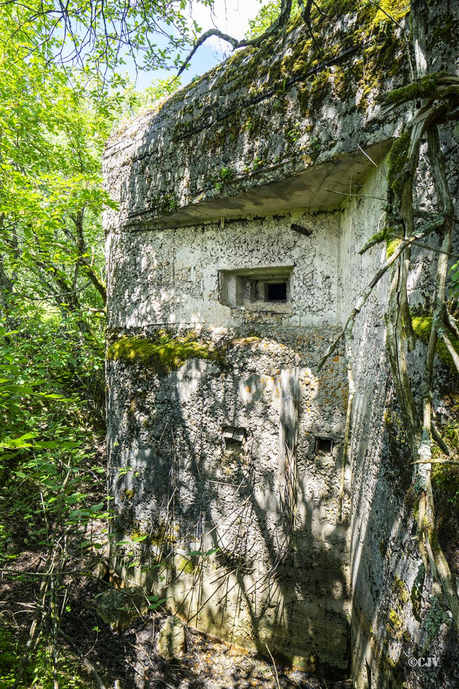 Ligne Maginot - B42 - REMORAY OUEST - (Casemate d'infanterie - Double) -  - Lia Vermeulen