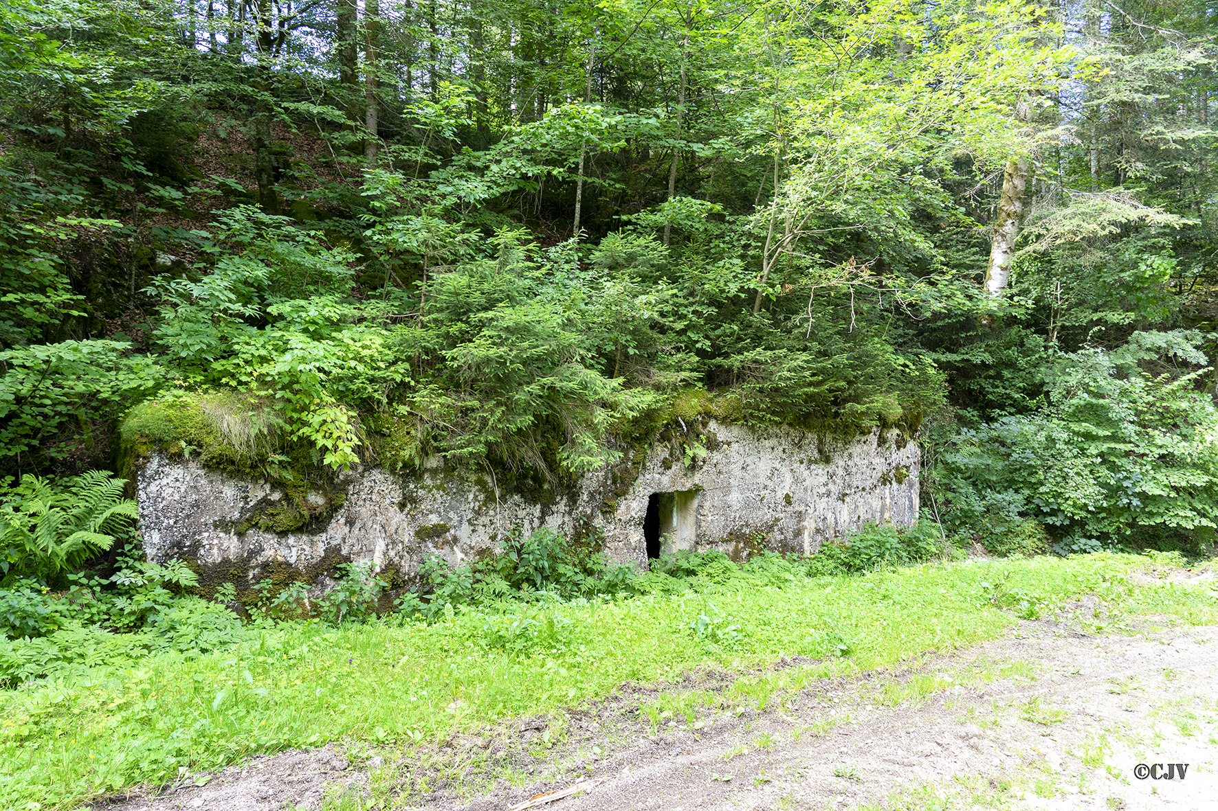 Ligne Maginot - B33 - MONT DES CONDUITS - (Abri) -  - Lia VERMEULEN