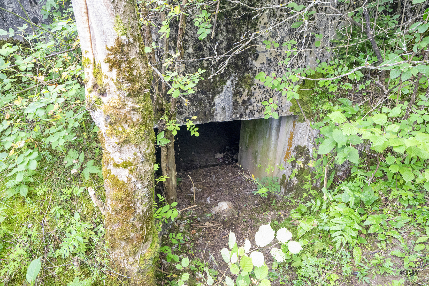 Ligne Maginot - B32 - OYE-ET-PALLET - (Blockhaus pour arme infanterie) - L'entrée pour le matériel - Lia VERMEULEN