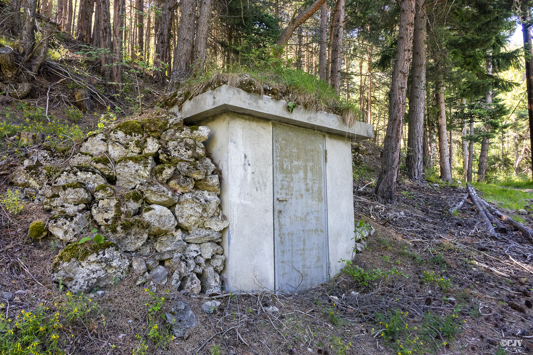 Ligne Maginot - 16 - (Chambre de coupure) -  - Lia VERMEULEN