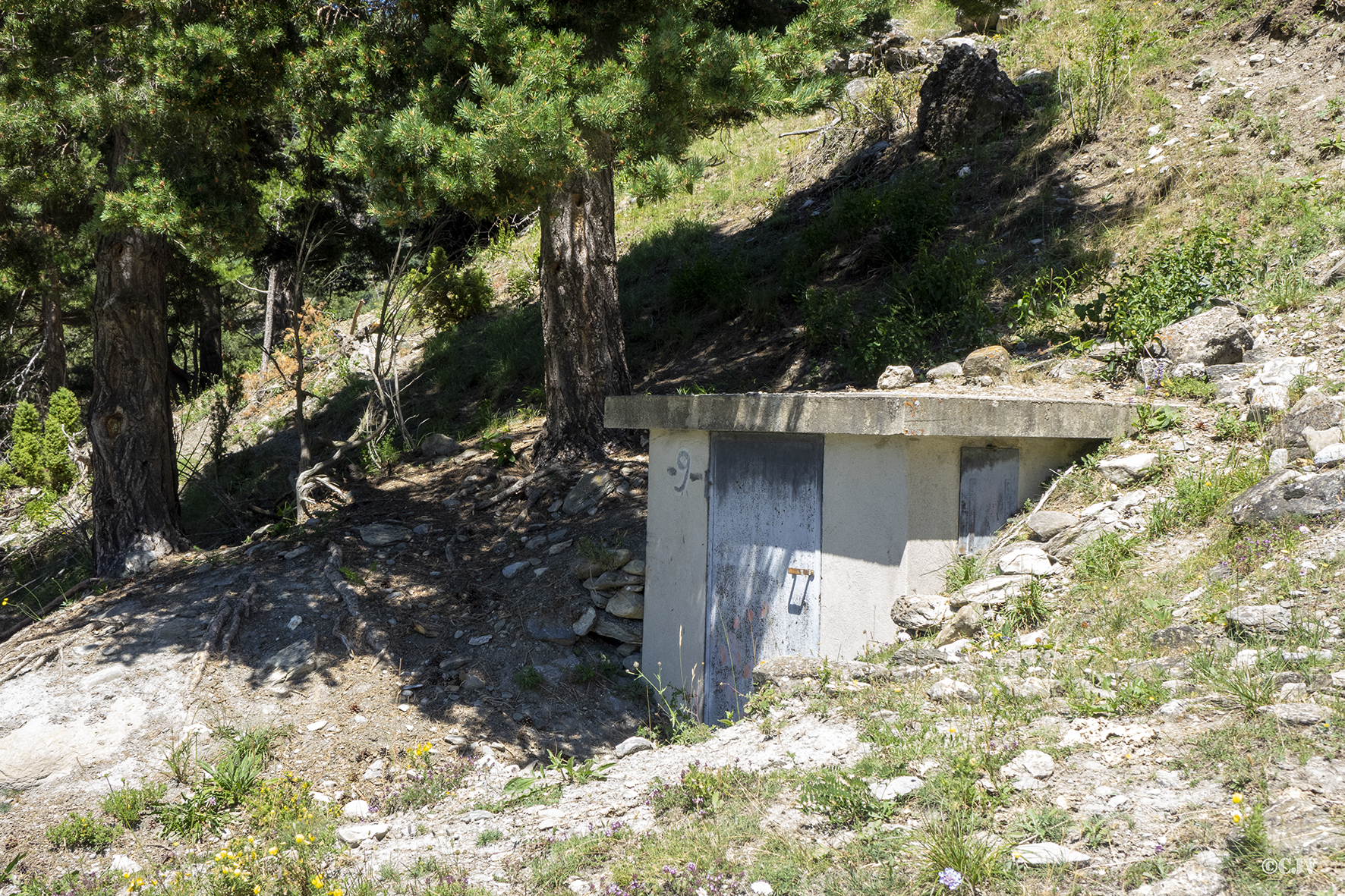 Ligne Maginot - 134 - (Chambre de coupure) -  - Lia VERMEULEN