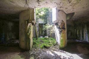 Ligne Maginot - FORT DE BOIS D'OYE - (Position d'artillerie préparée) - 