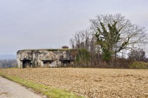 Ligne Maginot - 85 - HASELBERG - (Casemate d'infanterie - double) - Façade sud-ouest