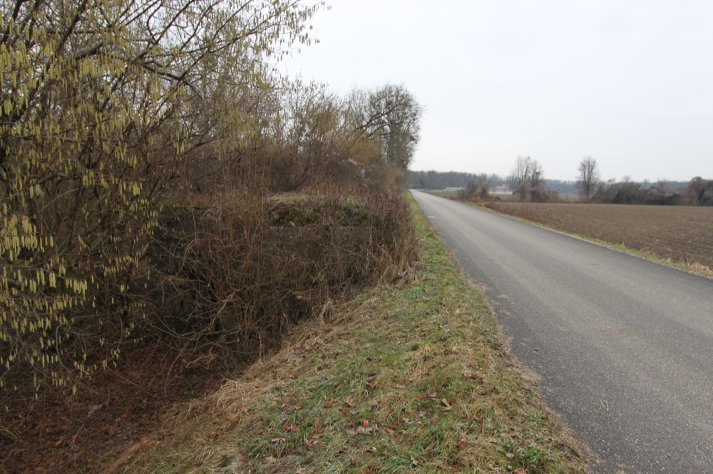 Ligne Maginot - JUNGGRUND - (Blockhaus pour arme infanterie) -  - A. SCHOEN