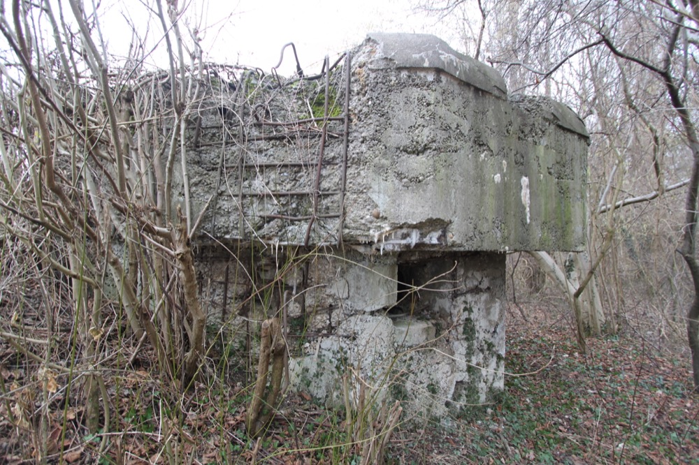 Ligne Maginot - JUNGGRUND - (Blockhaus pour arme infanterie) -  - A. SCHOEN