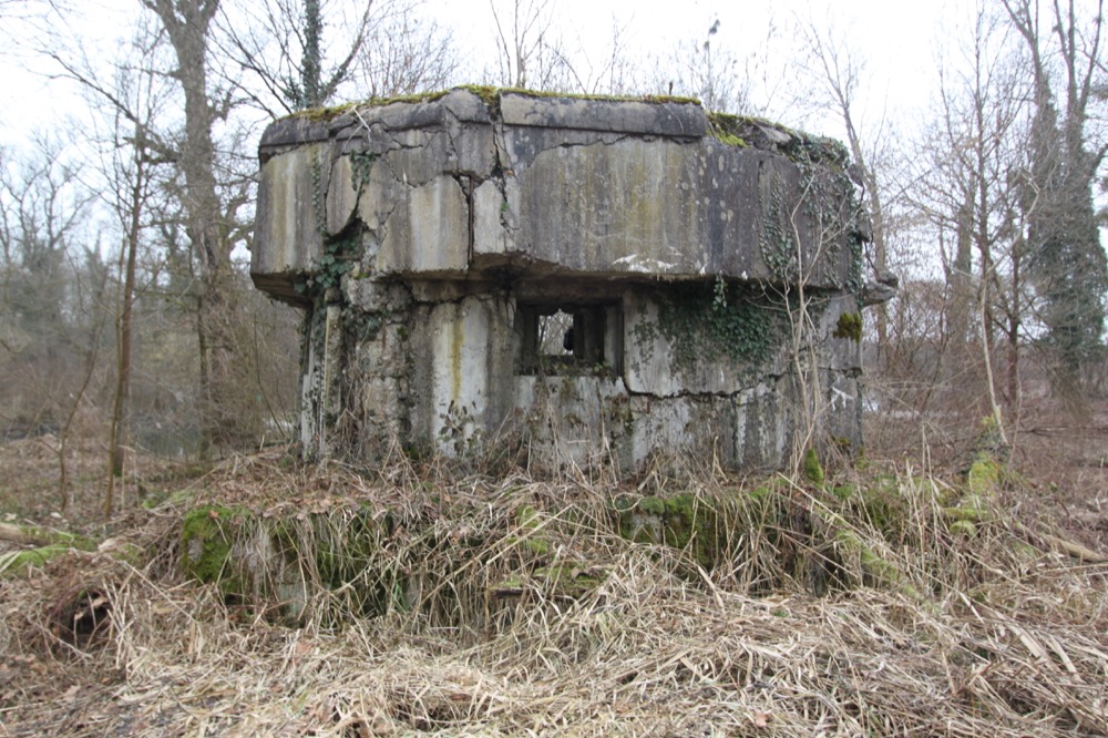 Ligne Maginot - JUNGGRUND SUD - (Blockhaus pour arme infanterie) -  - A. SCHOEN