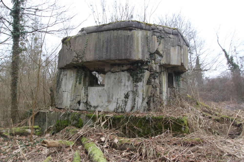 Ligne Maginot - JUNGGRUND SUD - (Blockhaus pour arme infanterie) -  - A. SCHOEN