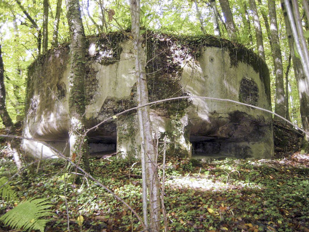 Ligne Maginot - BOIS DE VETRIGNE - (Observatoire d'artillerie) -  - François Villars