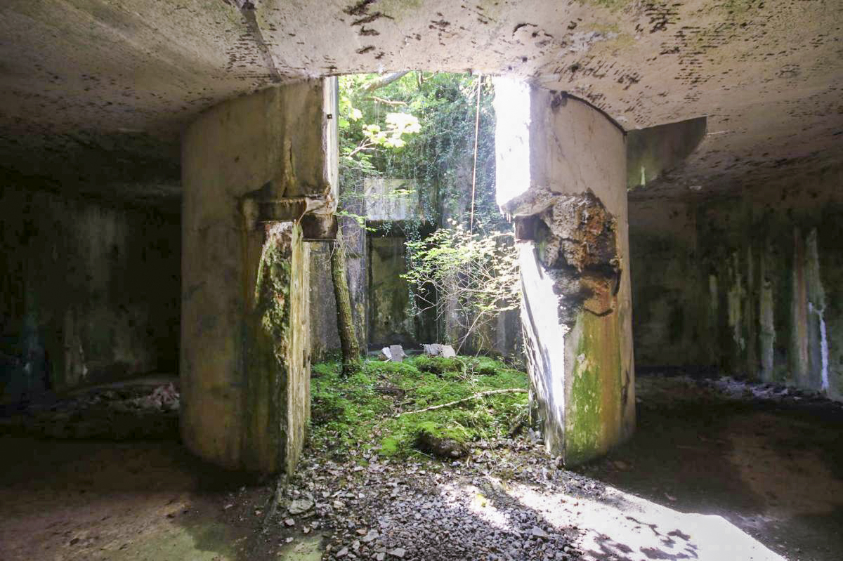 Ligne Maginot - FORT DE BOIS D'OYE - (Position d'artillerie préparée) -  - Michel & Philippe ZIMMER