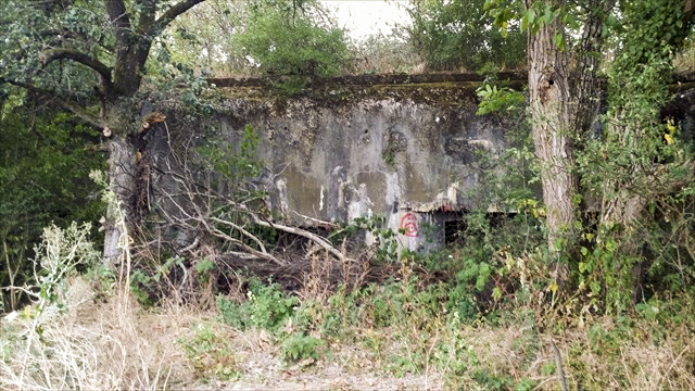 Ligne Maginot - 83 - SIERENTZ VOIE FERREE OUEST - (Casemate d'infanterie - Simple) - La casemate durant l'été 2015 avant le début des travaux - Mathieu Régli (via un ami)