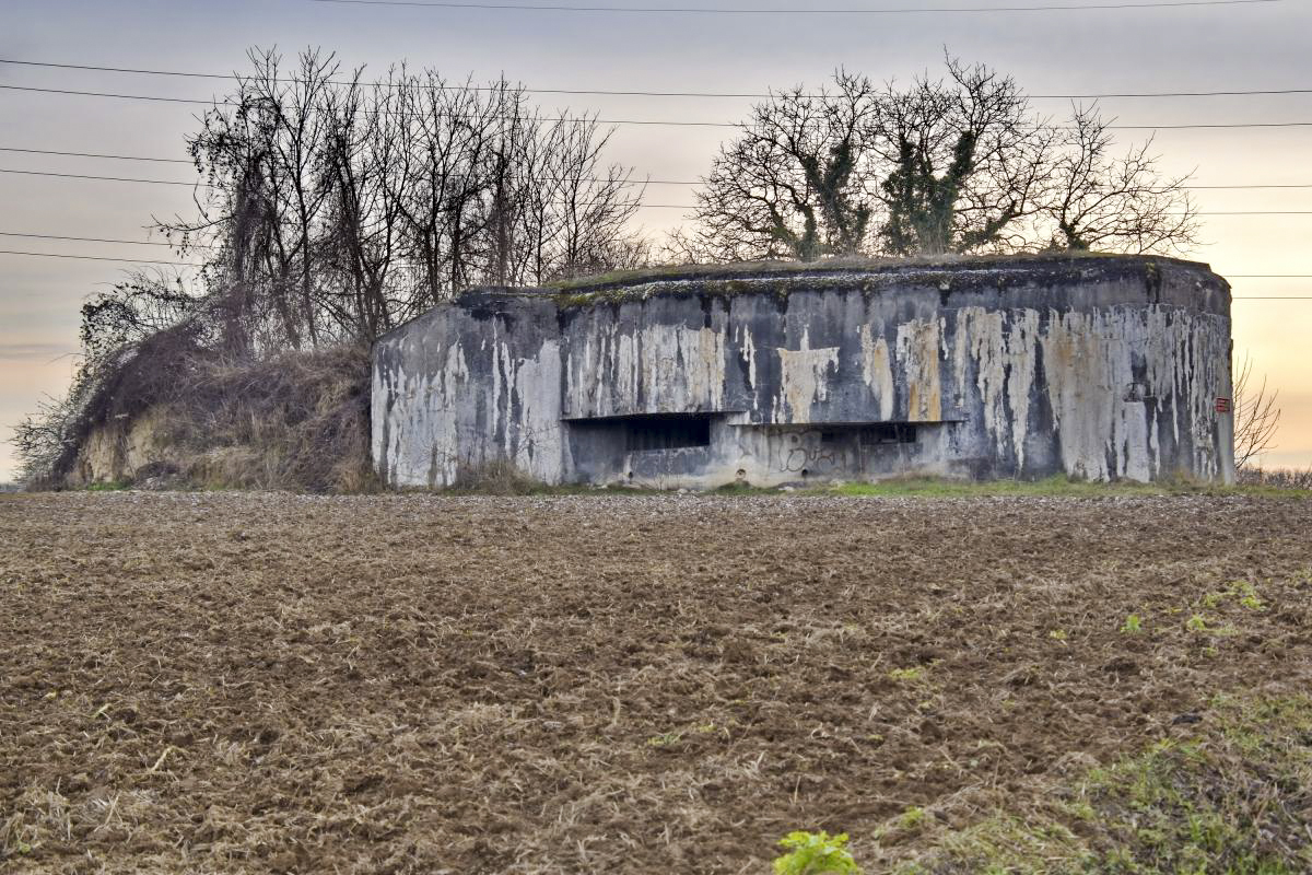 Ligne Maginot - 85 - HASELBERG - (Casemate d'infanterie - double) - Façade nord-est - Daniel Froehly