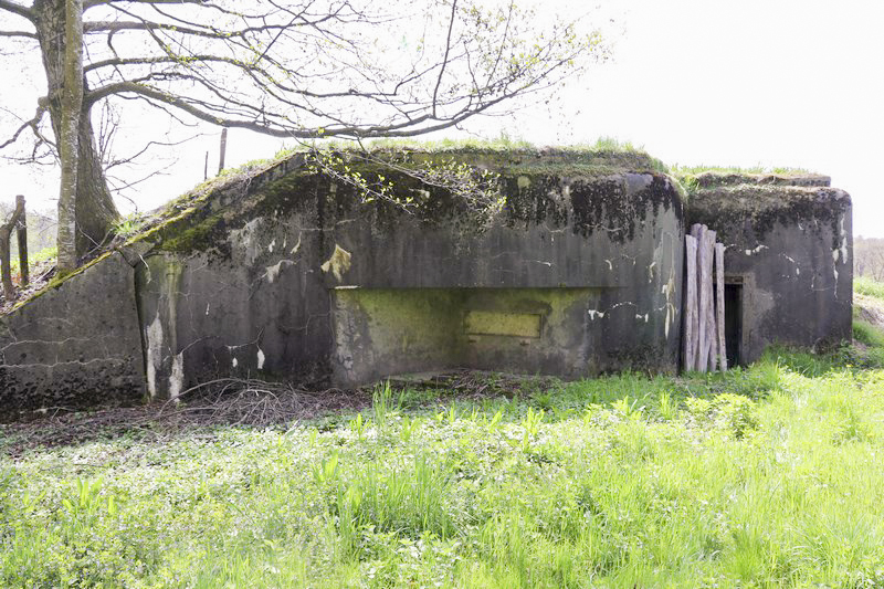 Ligne Maginot - 106 - CESARHOF NORD - (Casemate d'infanterie - Simple) -  - Alain Perouffe