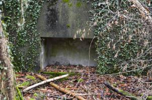 Ligne Maginot - WILLERHOF (BATTERIE DE) - (Position d'artillerie préparée) - Encuvement 1
Niche à munitions de gauche
