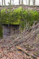 Ligne Maginot - WILLERHOF (BATTERIE DE) - (Position d'artillerie préparée) - Abri
Vue de la porte de droite