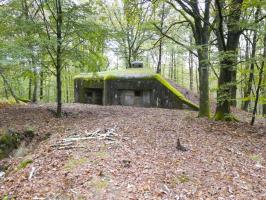 Ligne Maginot - BIESENBERG 4 - (Blockhaus pour arme infanterie) - 