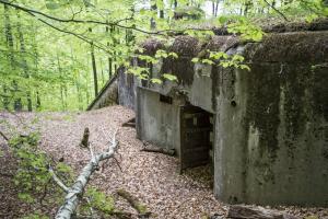 Ligne Maginot - BIESENBERG 6 - (Blockhaus pour arme infanterie) - Façade arrière