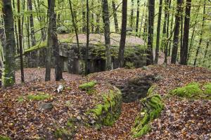 Ligne Maginot - BIESENBERG 6 - (Blockhaus pour arme infanterie) - La tranchée taillée dans le grès 