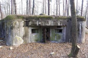 Ligne Maginot - BIESENBERG 7 - (Blockhaus pour arme infanterie) - 