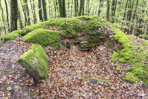 Ligne Maginot - BIESENBERG 6 - (Cuve pour arme d'infanterie) - 