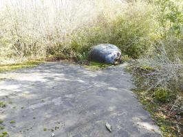 Ligne Maginot - LE CHESNOIS - CHENOIS - (Ouvrage d'artillerie) - Bloc 1
Cloche GFM 1