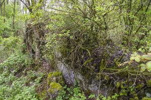 Ligne Maginot - 6/1 - CHALAMPE BERGE SUD - (Casemate d'infanterie - Double) - Un des murs restant
Casemate détruite - Un pan de murs restant