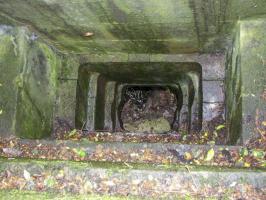 Ligne Maginot - 56/3 - RUMERSHEIM NORD - (Casemate d'infanterie - Double) - La casemate est explosée.
Ce créneau est dirigé vers le ciel.