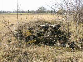 Ligne Maginot - AM DIETWEG - (Cuve pour arme d'infanterie) - Vue depuis l'est.
L'absence de débris de coupole fait conclure à un emplacement pour tourelle démontable.