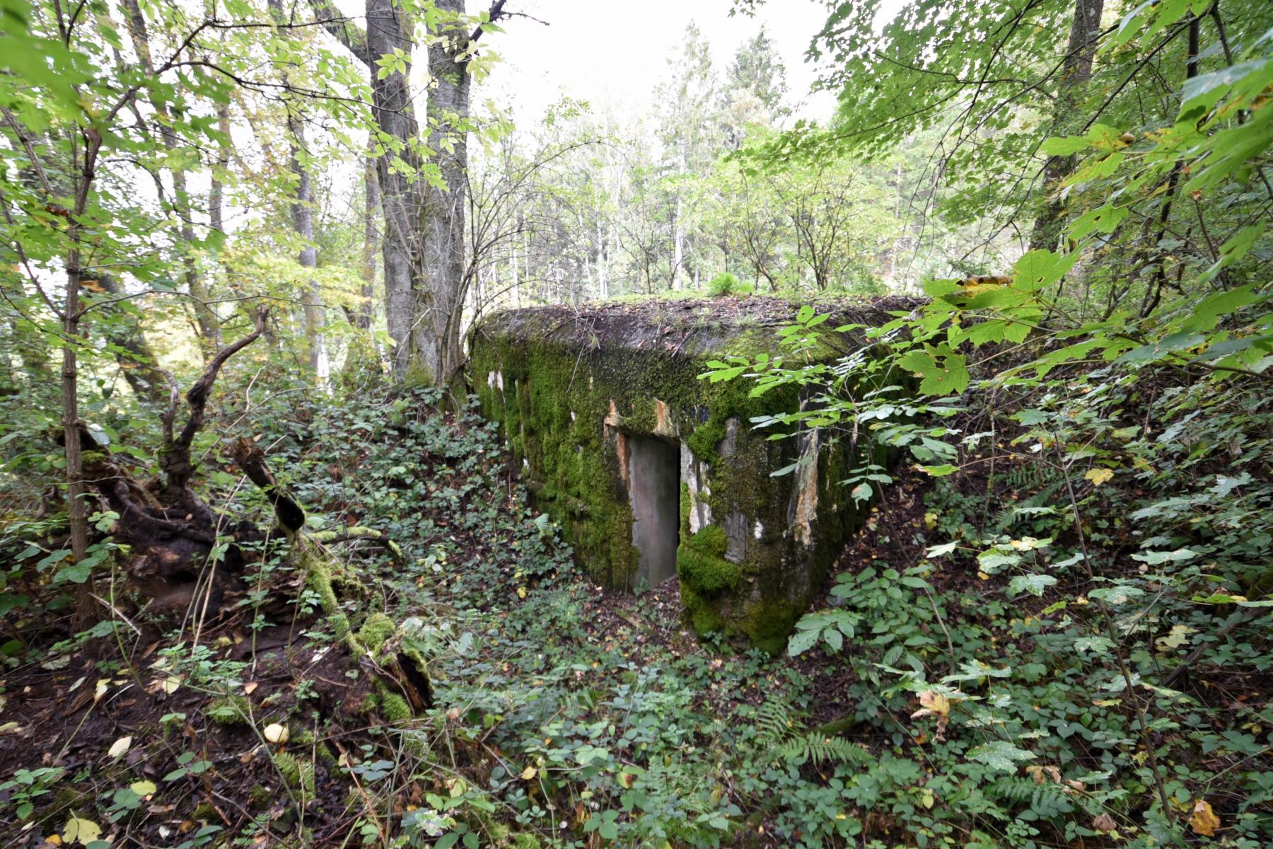 Ligne Maginot - WASENBERG 4 - (Blockhaus pour arme infanterie) -  - knapp ludovic