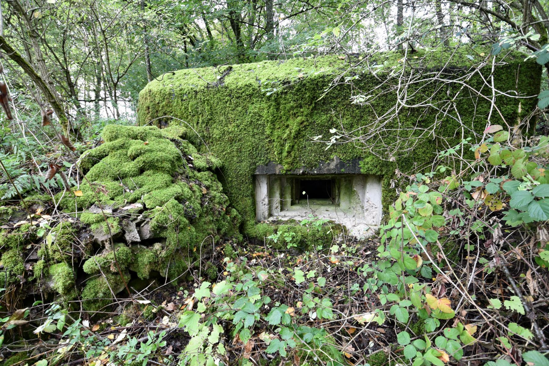 Ligne Maginot - WASENBERG 4 - (Blockhaus pour arme infanterie) -  - knapp ludovic