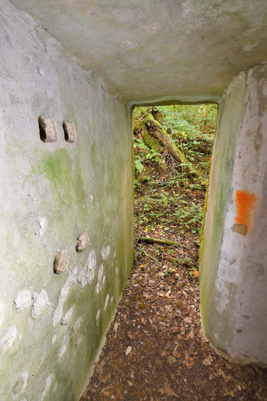 Ligne Maginot - WASENBERG 4 - (Blockhaus pour arme infanterie) -  - knapp ludovic