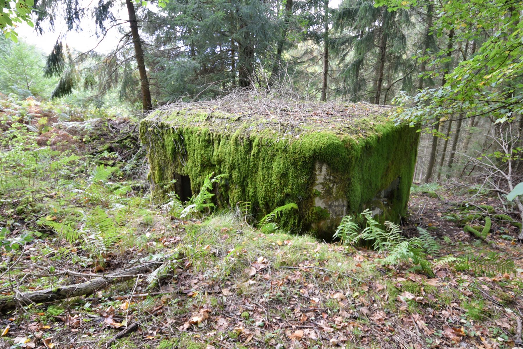 Ligne Maginot - WASENBERG 2 - (Blockhaus pour arme infanterie) -  - knapp ludovic