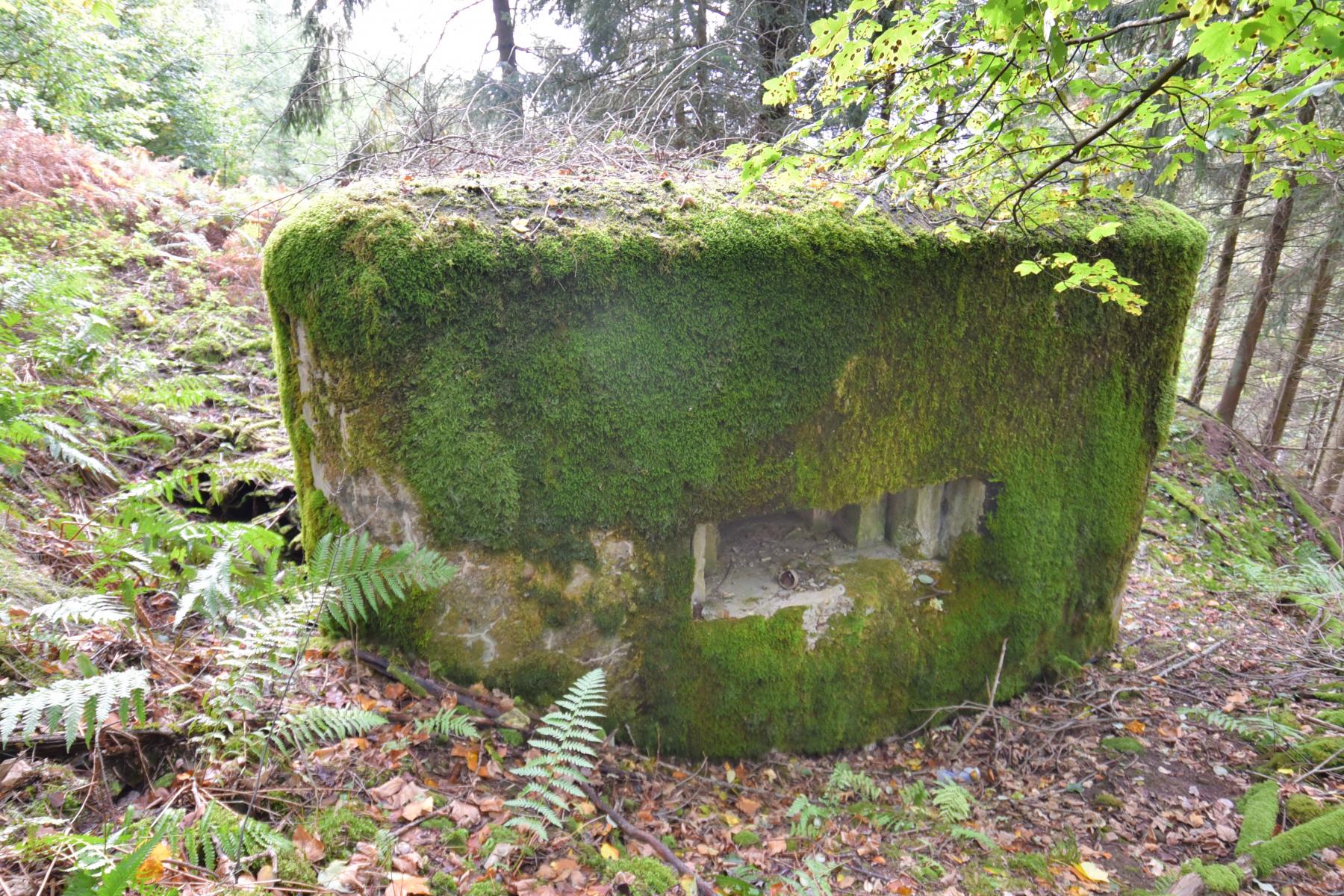 Ligne Maginot - WASENBERG 2 - (Blockhaus pour arme infanterie) -  - knapp ludovic