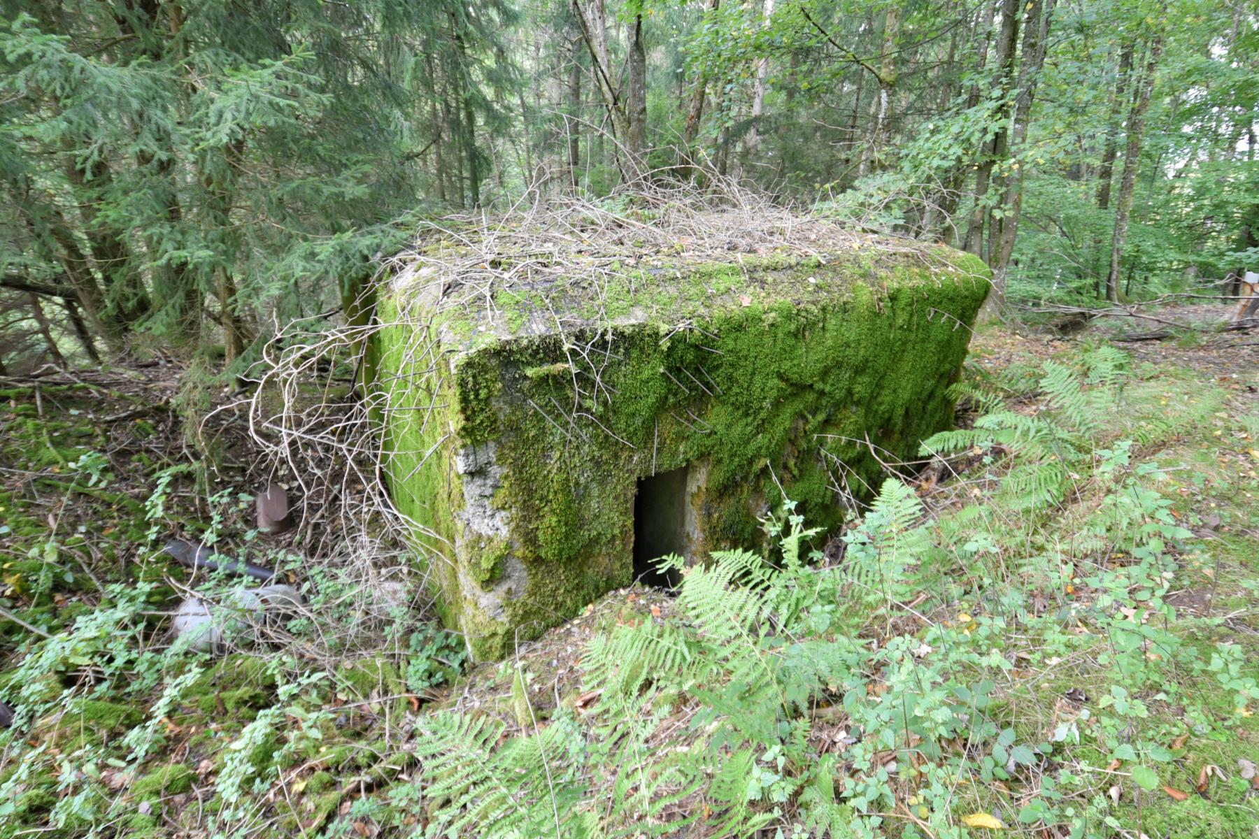 Ligne Maginot - WASENBERG 2 - (Blockhaus pour arme infanterie) -  - knapp ludovic