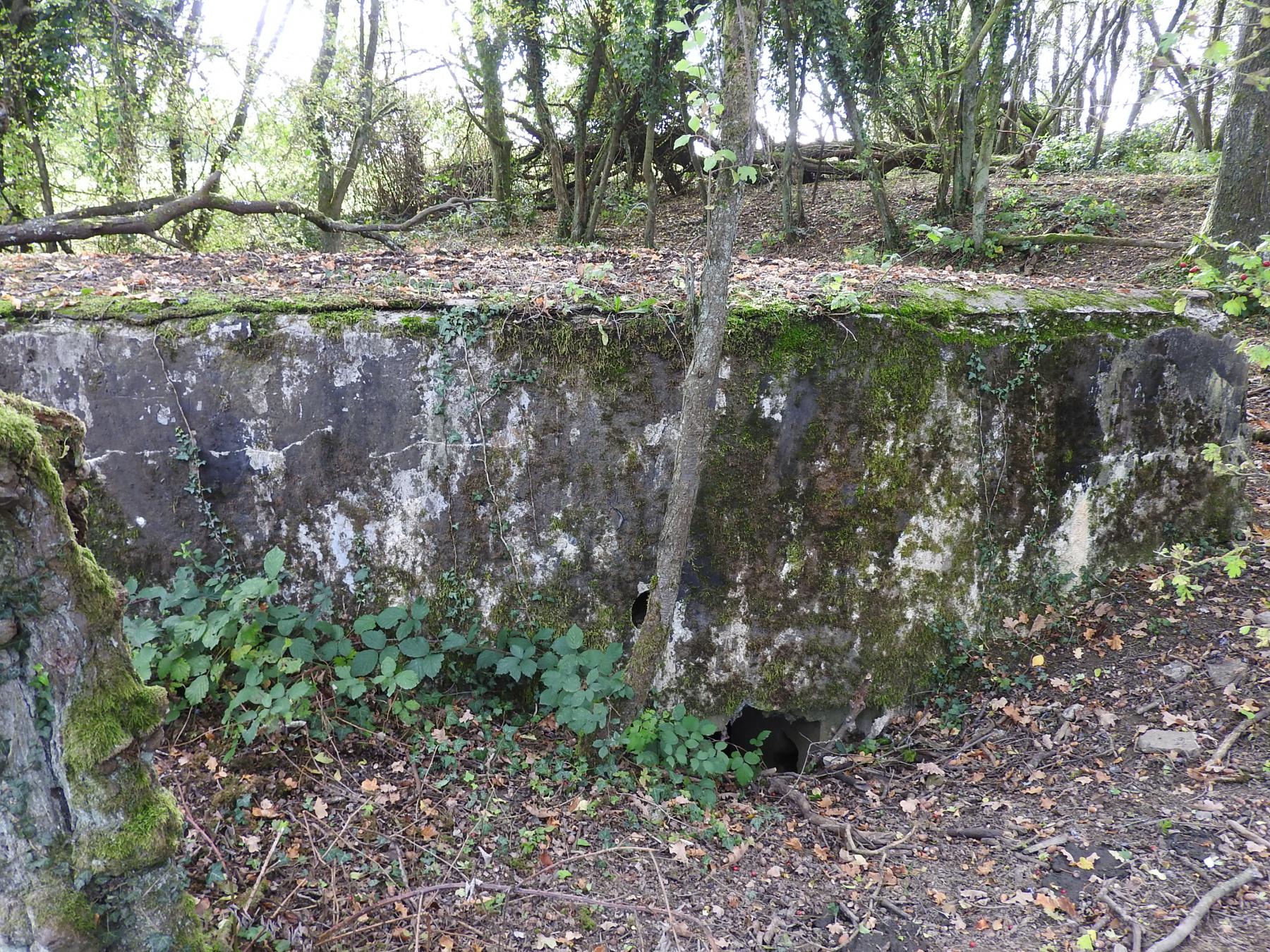 Ligne Maginot - WELSCHBRUCH NORD 2 - (Blockhaus pour arme infanterie) - L'entrée est remblayée
 - STENGER Mathieu