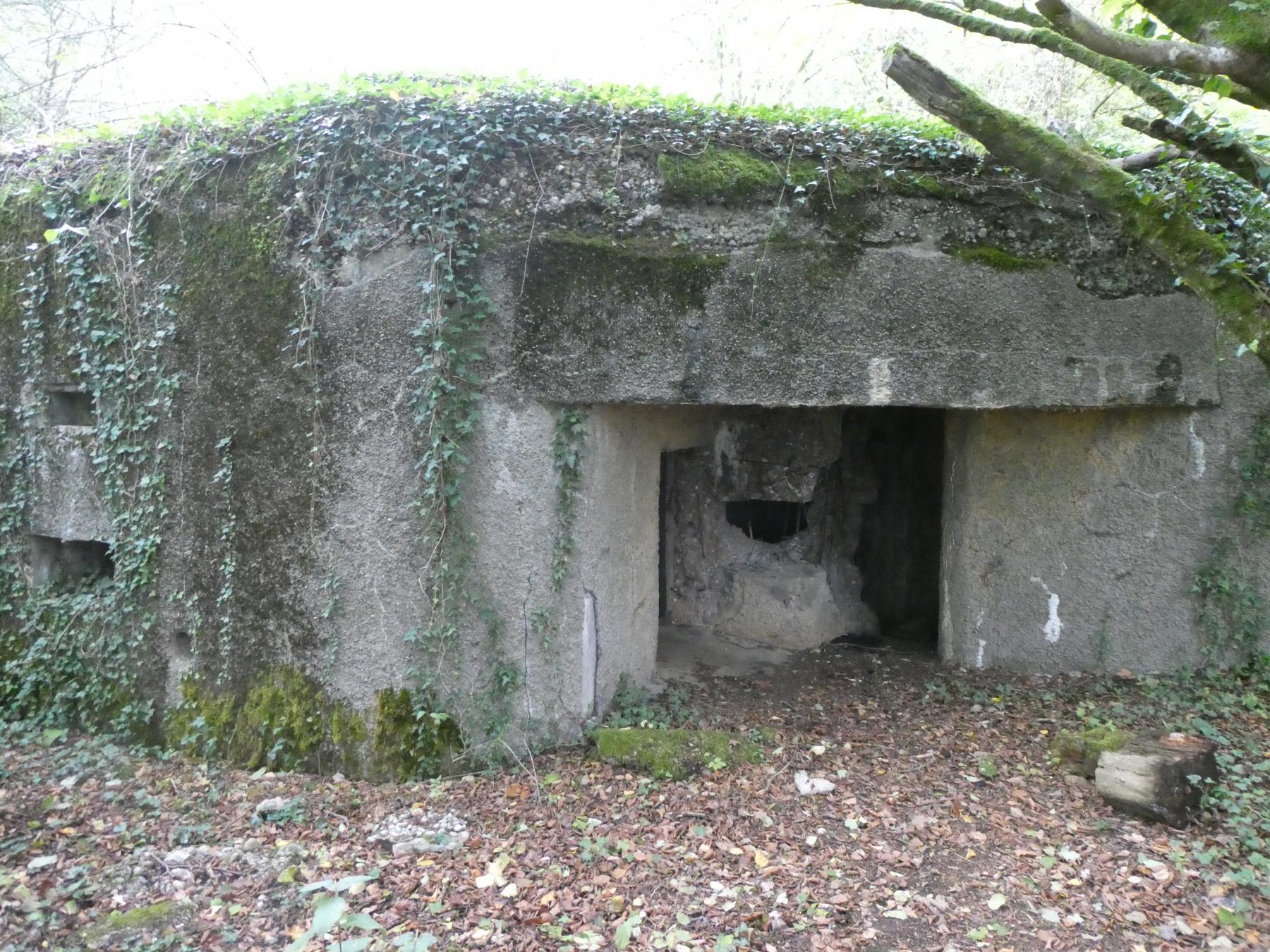 Ligne Maginot - 129 - L'EPINETTE - (Blockhaus pour canon) -  - ELLENA - CUNY