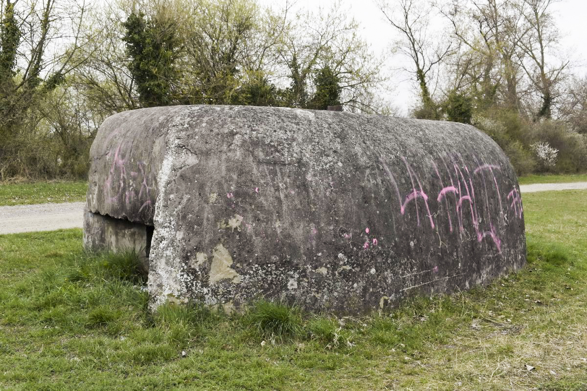 Ligne Maginot - G72 - ROSENAU BERGE 6 - (Blockhaus pour arme infanterie) -  - D. Froehly