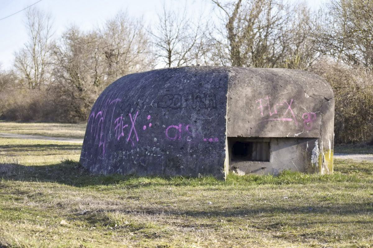 Ligne Maginot - G72 - ROSENAU BERGE 6 - (Blockhaus pour arme infanterie) -  - D. Froehly